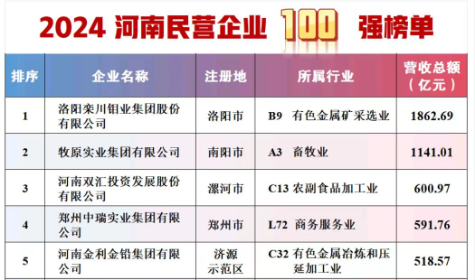2024河南民营企业100强榜单发布