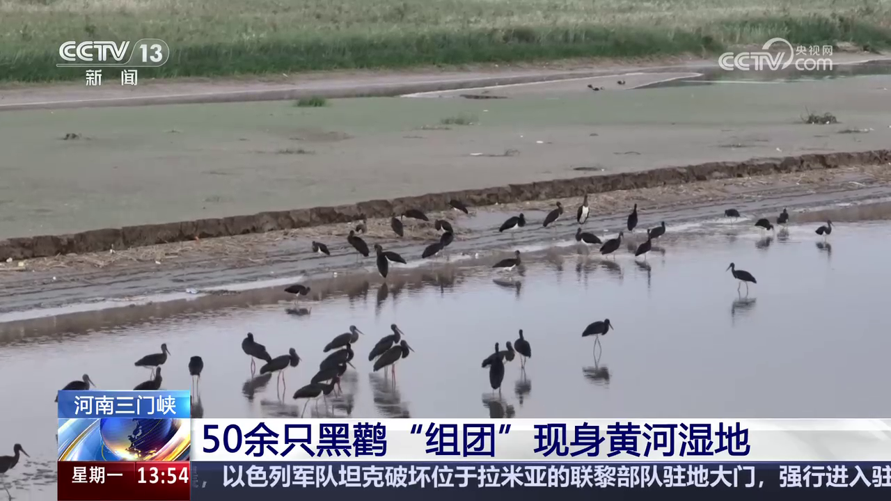 央媒看河南 | 关注河南生态环境、秋播秋种等内容