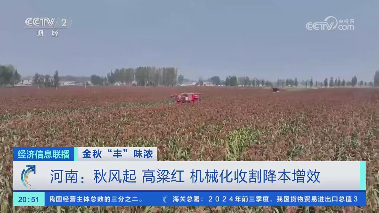 【央视关注河南】秋风起 高粱红 机械化收割降本增效