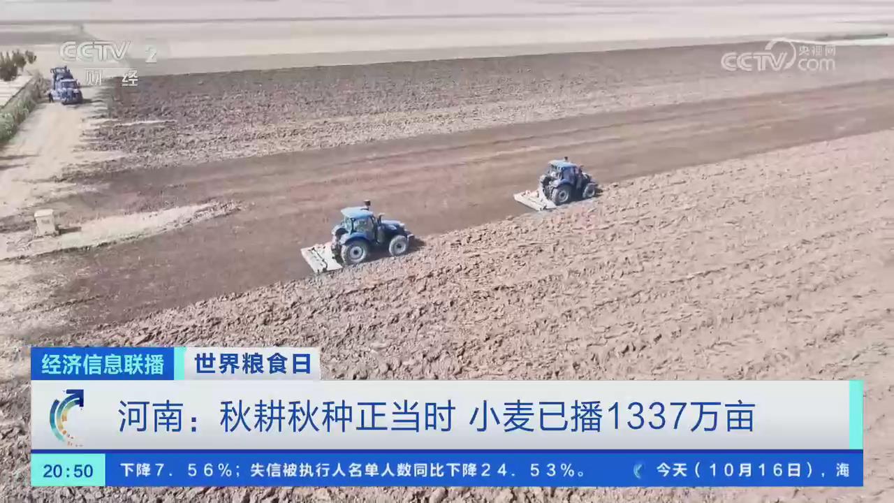 【央视关注河南】秋耕秋种正当时 小麦已播1337万亩