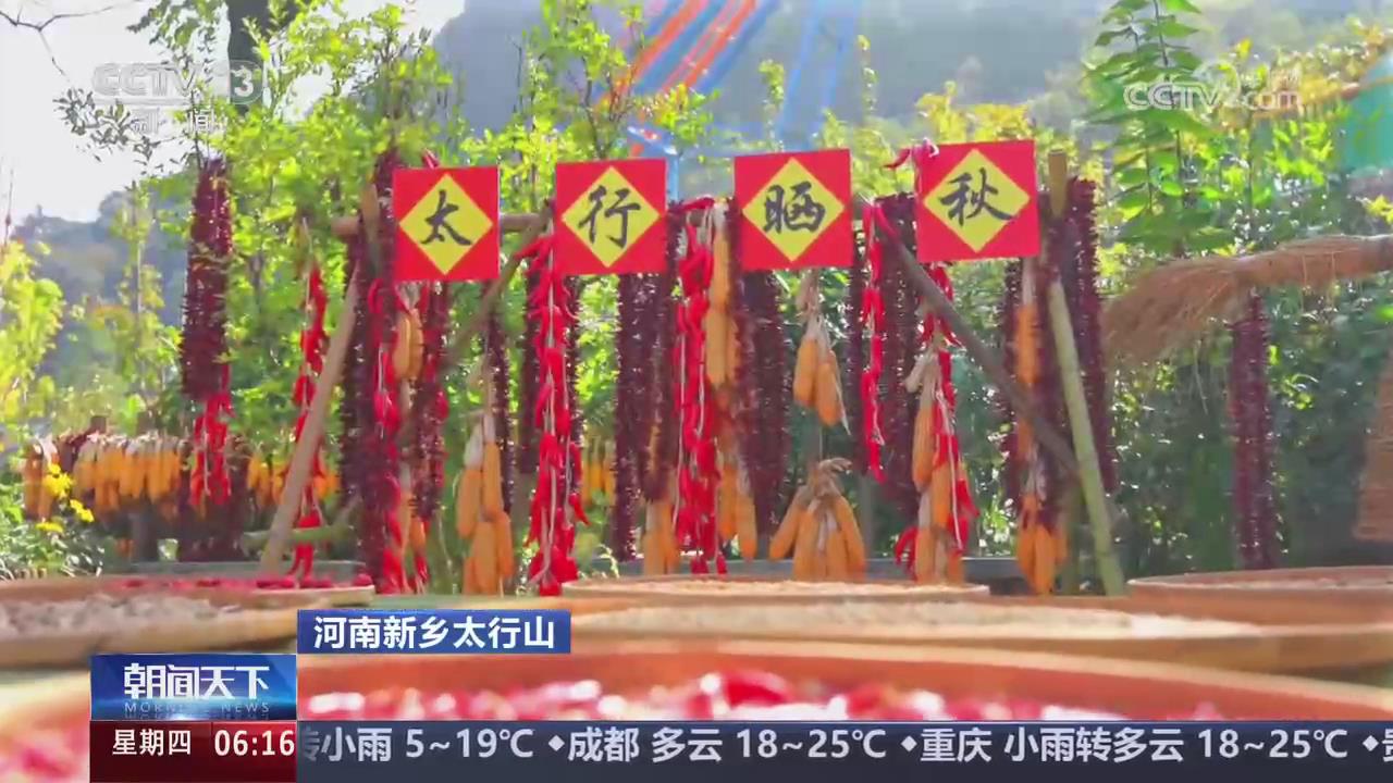【央视关注河南新乡】镜头记录丰收 瞰“多彩”田野