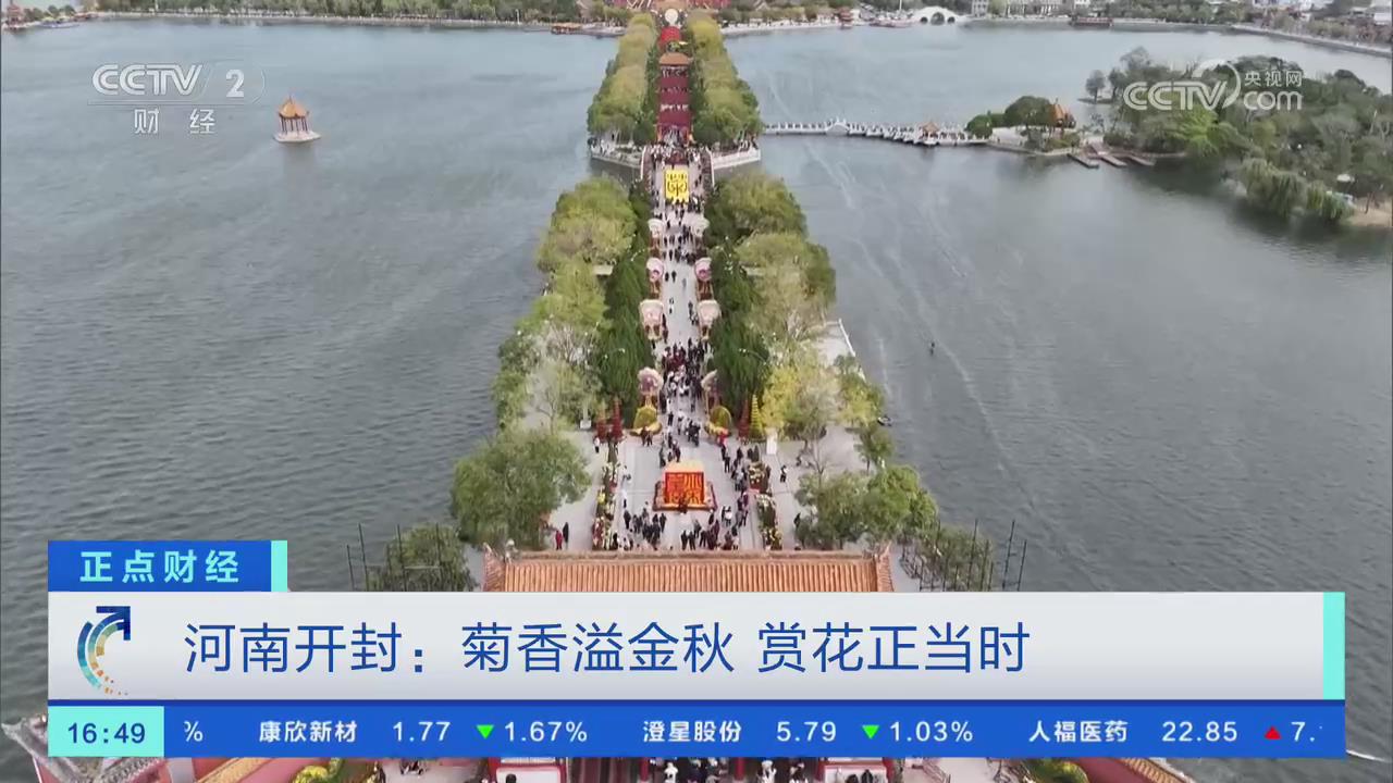【央视关注河南开封】菊香溢金秋 赏花正当时