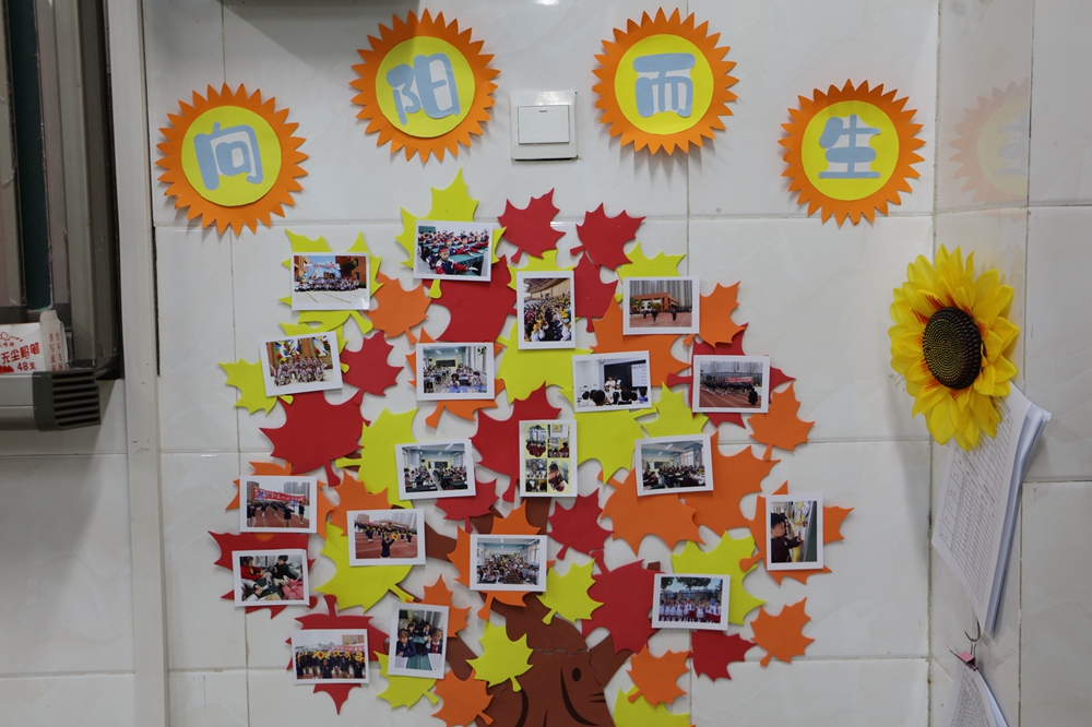 郑州市二七区运河城实验小学举行班级文化评比活动