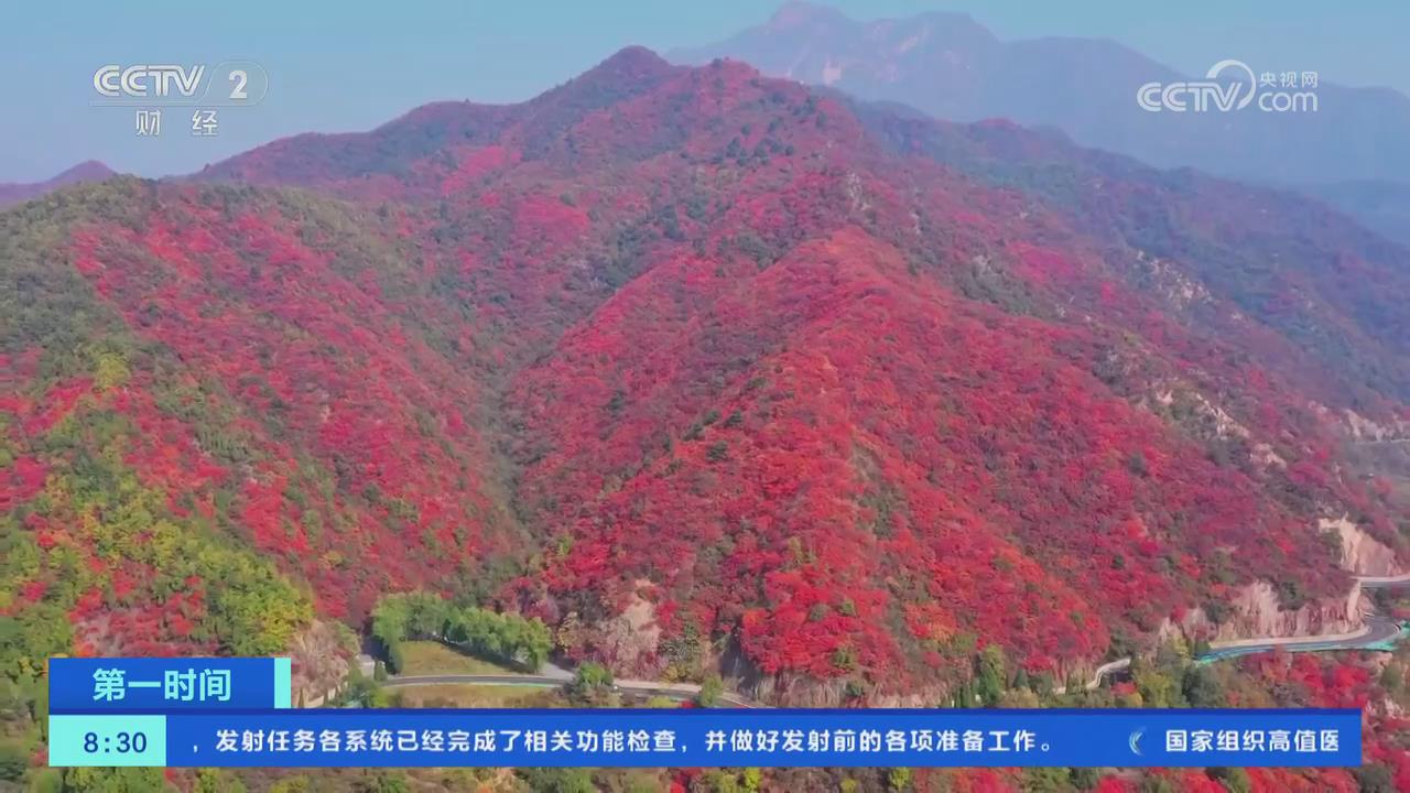 【央視關注河南濟源】王屋山漫山紅遍