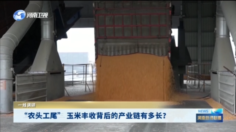 “农头工尾” 玉米丰收背后的产业链有多长？|一线调研