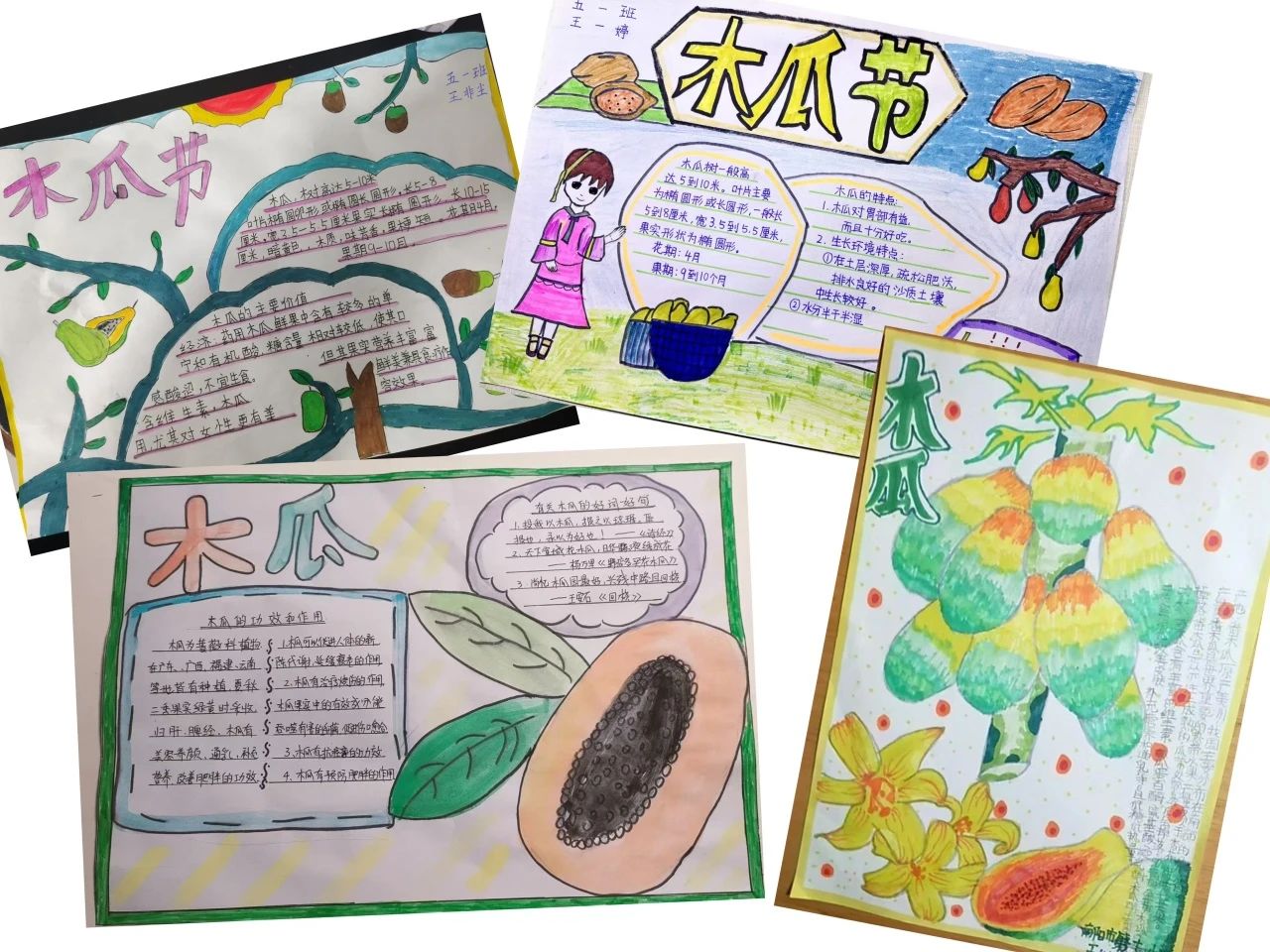 金秋时节结硕果 温凉河畔话丰收