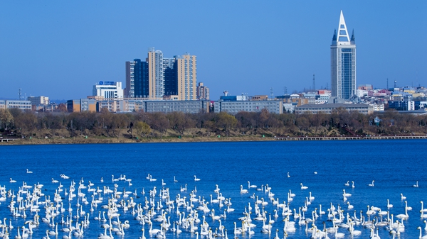三门峡市委第二巡察组：用活巡察方式方法 努力提高监督质效