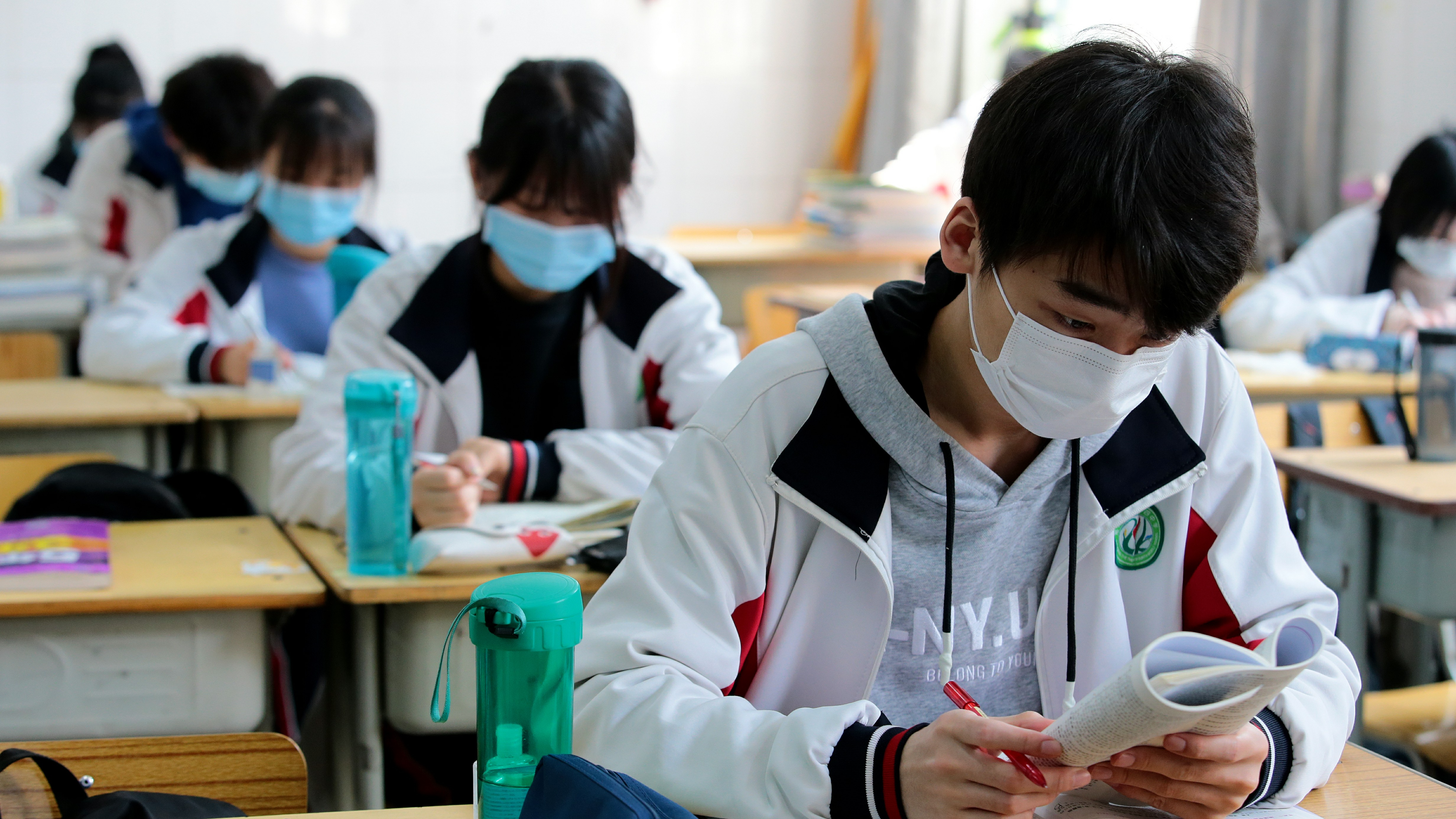 小学中高年级语文综合性学习实践能力提升与探究