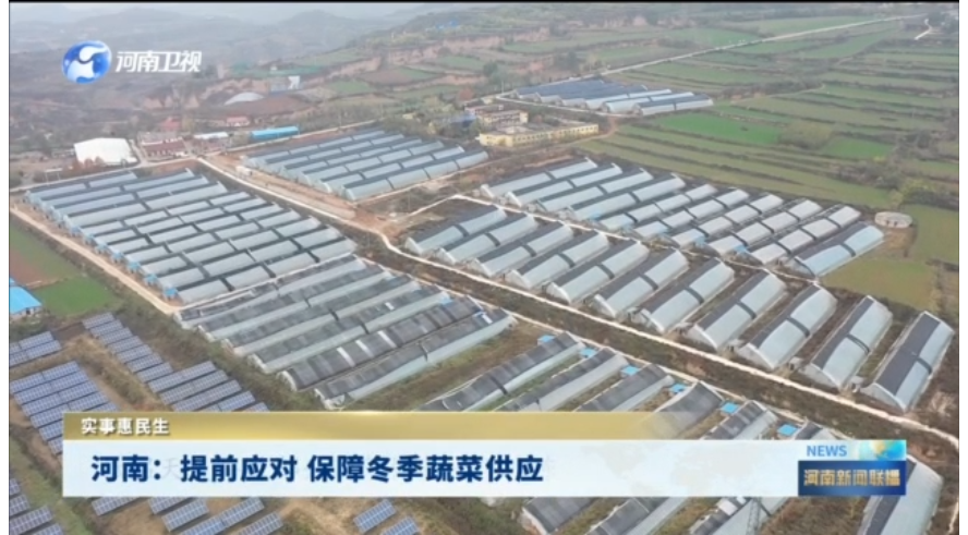 河南：提前应对 保障冬季蔬菜供应丨实事惠民生