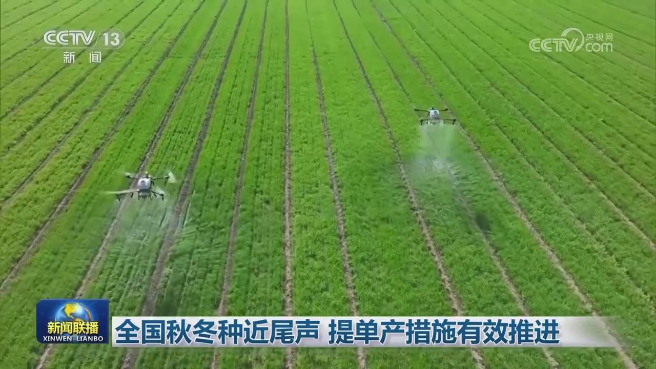 【央視聯(lián)播關注河南】提單產措施有效推進 小麥出苗較好