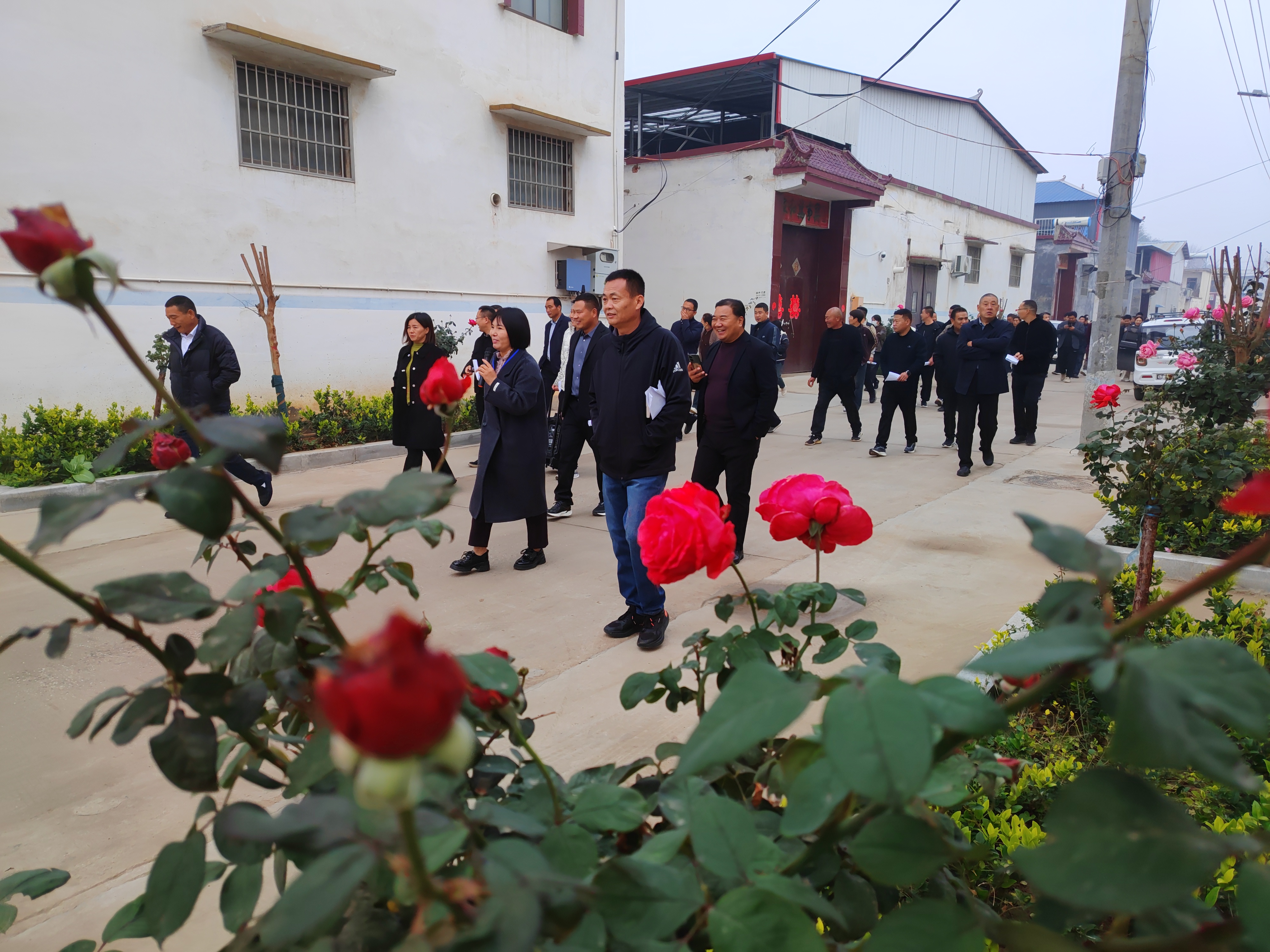 商水县郝岗镇：抓实基层党建促发展