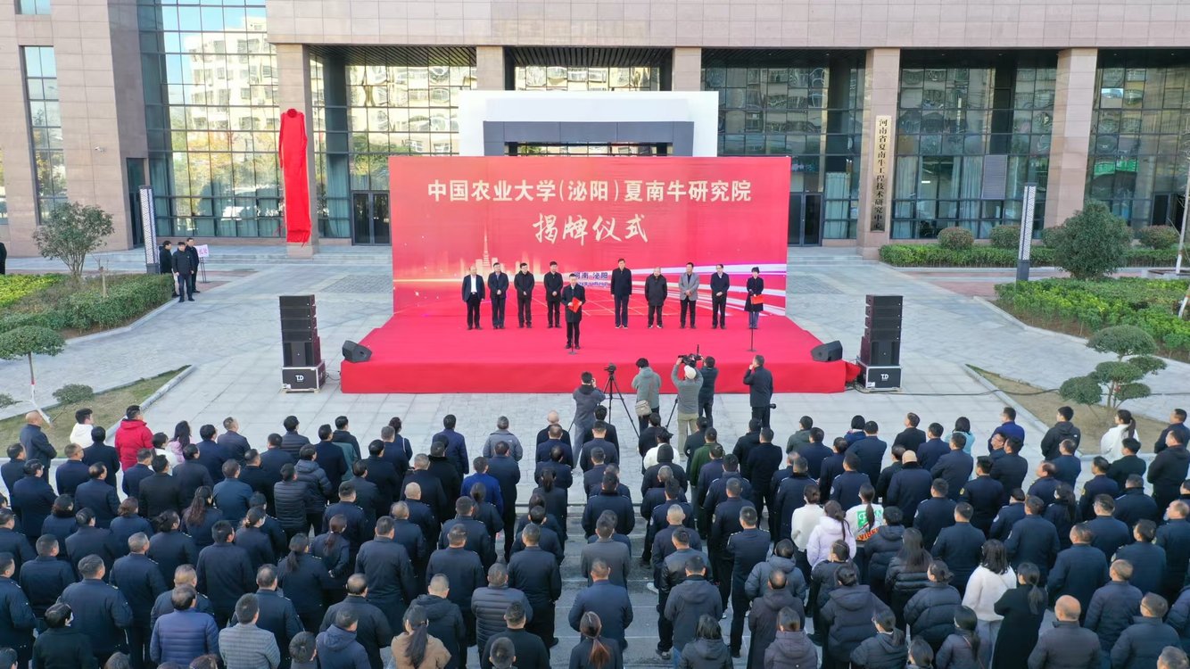 向“新”提质 泌阳这座最“牛”县城要“牛”出新花样