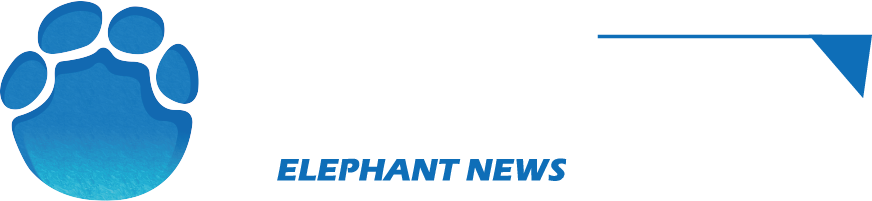 “钟鸣鼎食：古代自鸣钟艺术精品展”在仟堂古斋人文美学空间举办