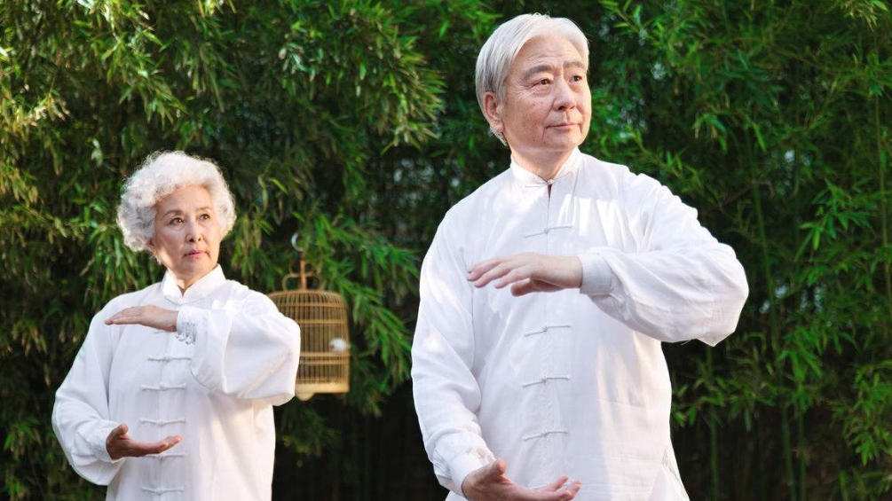 加强太极拳国际传播 提升中华文化软实力