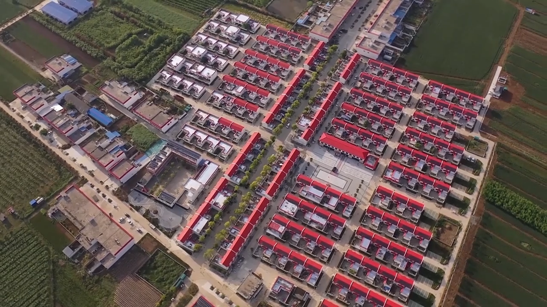 山美水美人美 移民村“一地生三金”丨十年南水润北国