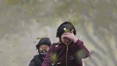 大风蓝色预警！河南河北等地部分地区有5级风，阵风6至8级