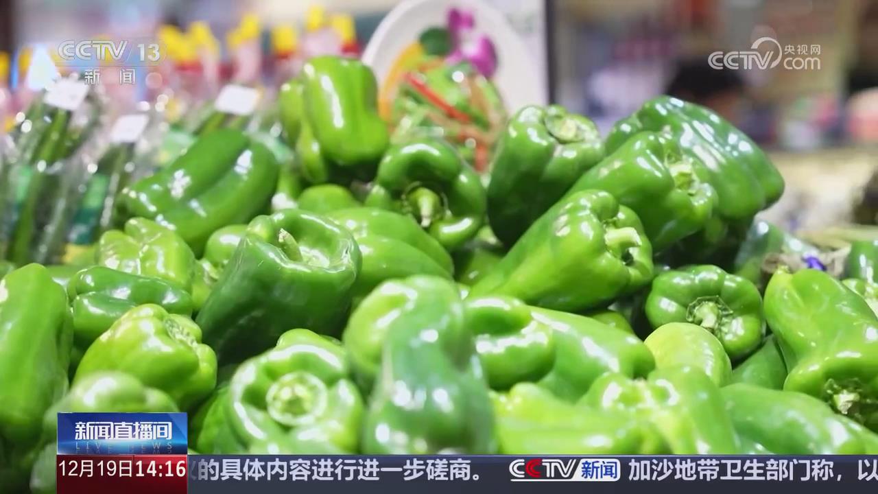 【央視關(guān)注河南鶴壁】應(yīng)對低溫 多舉措保障“菜籃子”量足價穩(wěn)