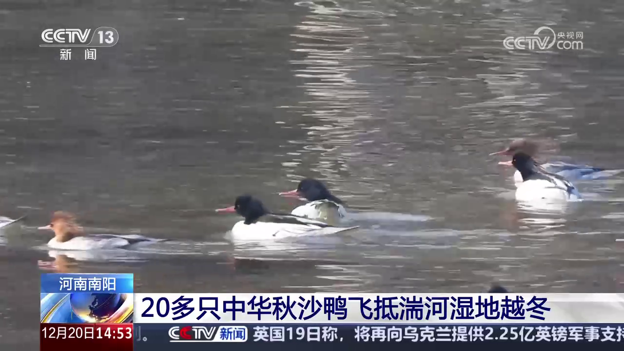 央媒看河南 | 關(guān)注河南食品安全、候鳥越冬等內(nèi)容