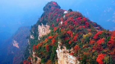 六条主题线路发布！冬日这样游郑州→