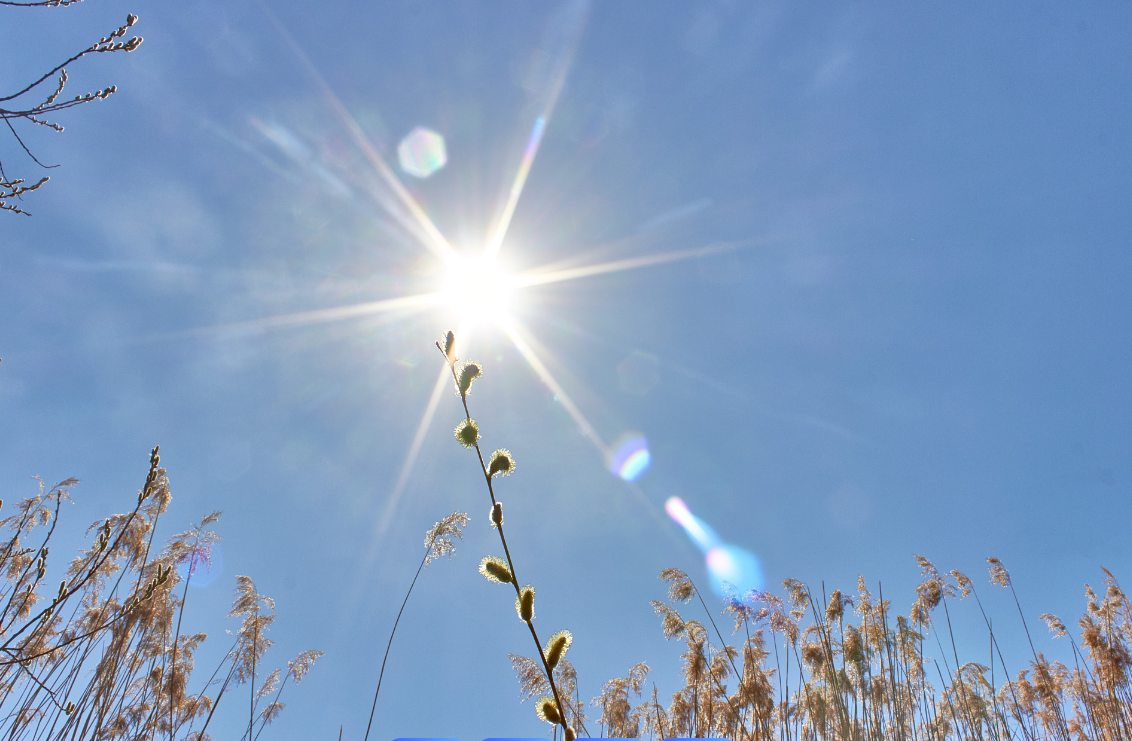 最高14℃！河南将温暖“迎接”2025