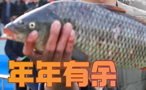 郑州职校千名师生“抓锦鲤”庆元旦 网友：羡慕别人家的学校