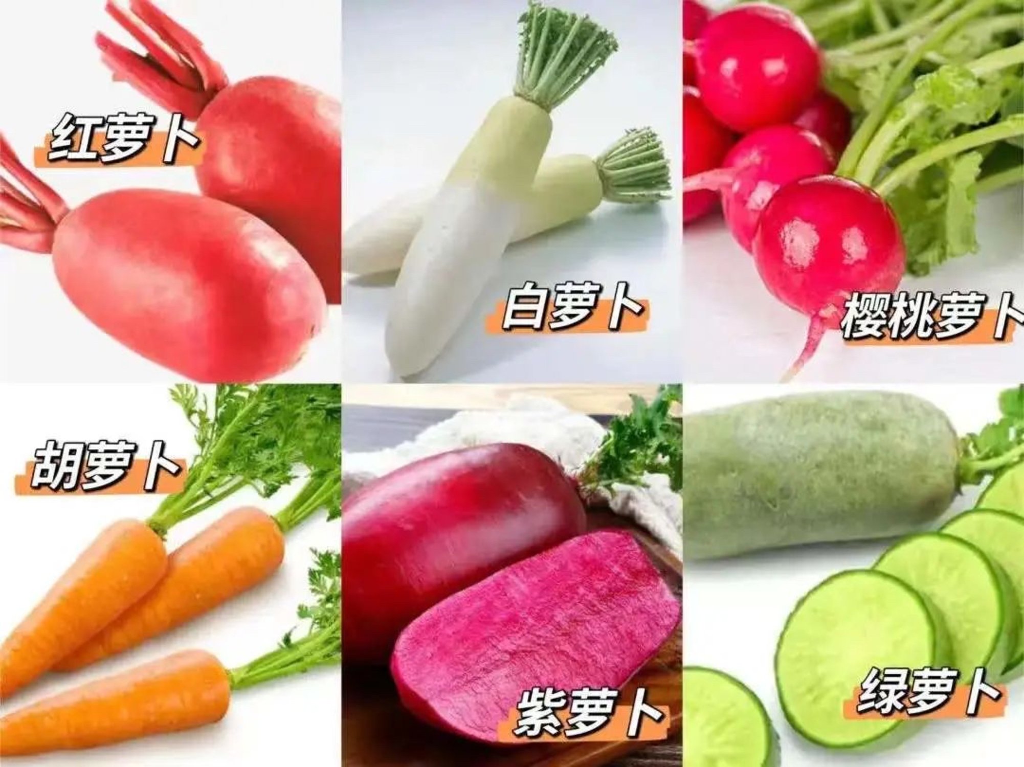 生活早参考