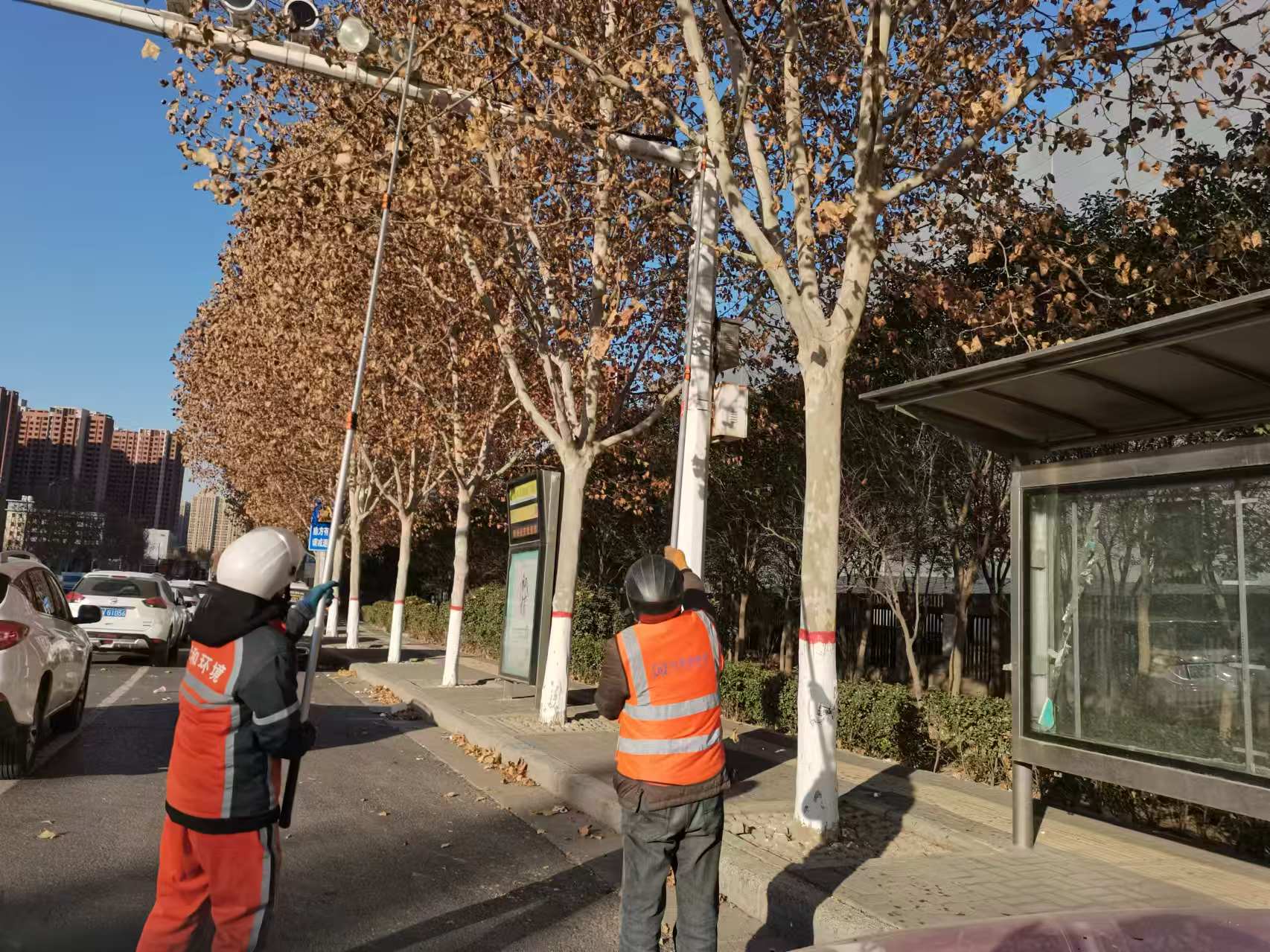 冬·暖郑州｜哪里树枝挡路了 快给郑州城管说