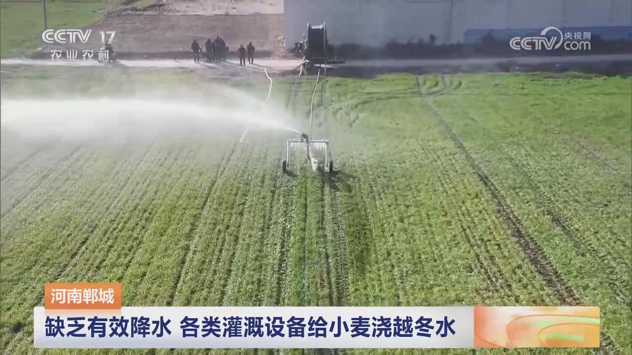 【央視關(guān)注河南鄲城】缺乏有效降水 各類灌溉設(shè)備給小麥澆越冬水