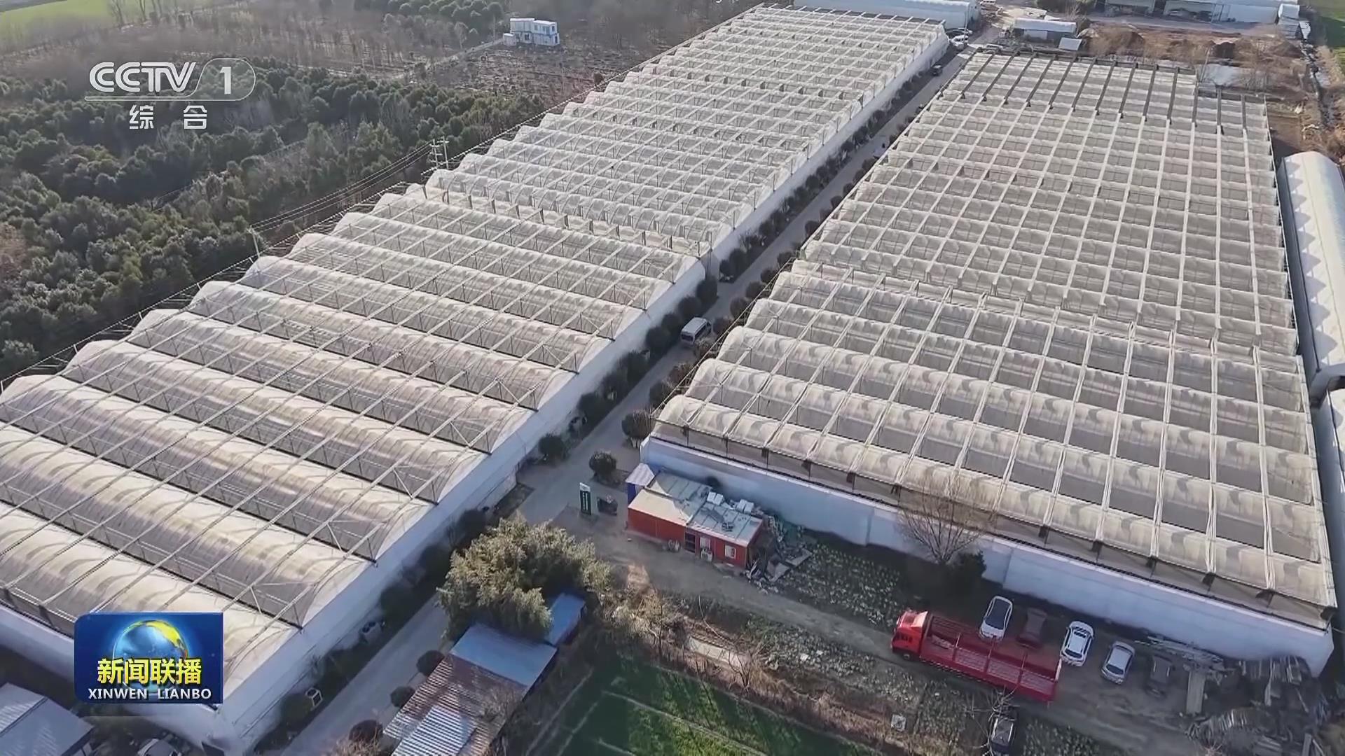 【央視聯播關注河南鄭州】春節臨近 年貨市場購銷兩旺