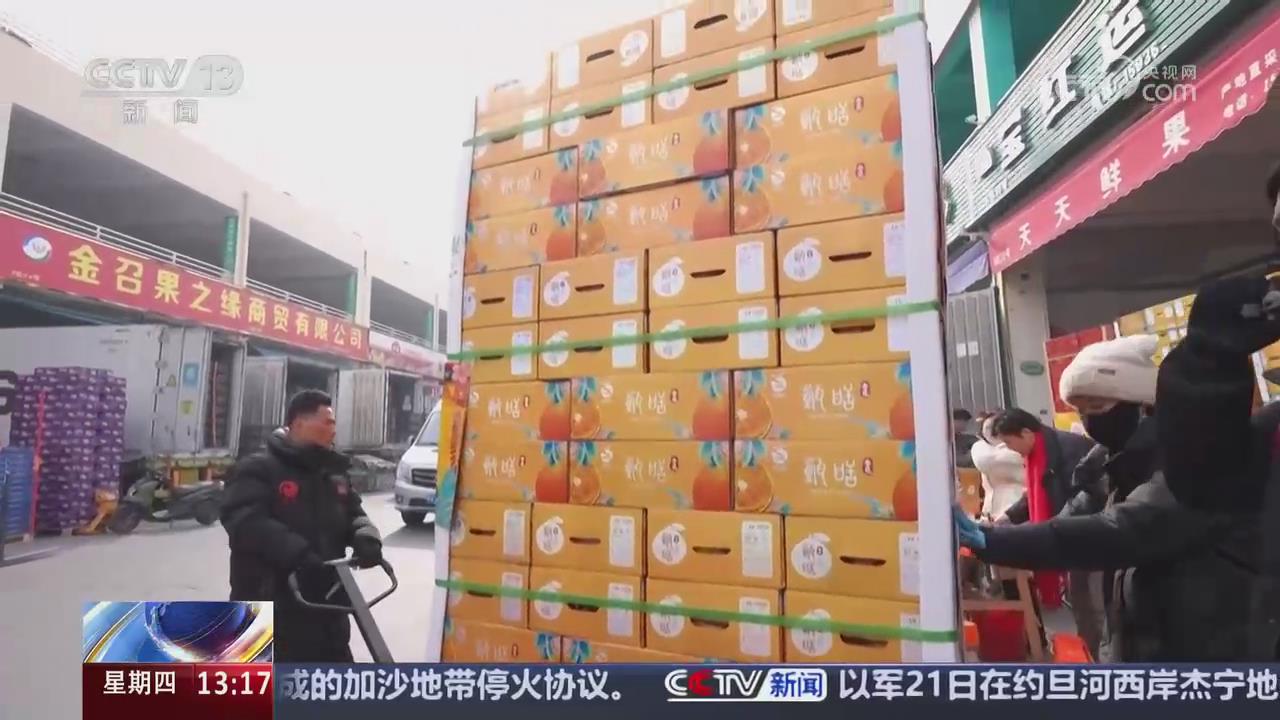 【央視關注河南鄭州】水果市場供銷兩旺