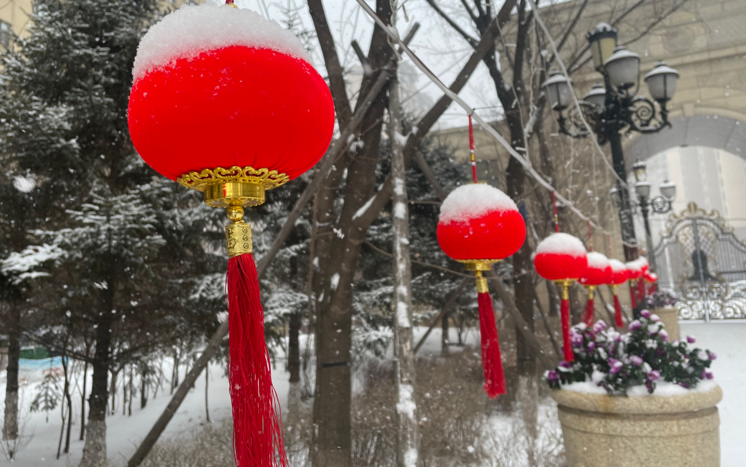 -10℃！河南今日整体晴冷，但随后有雪