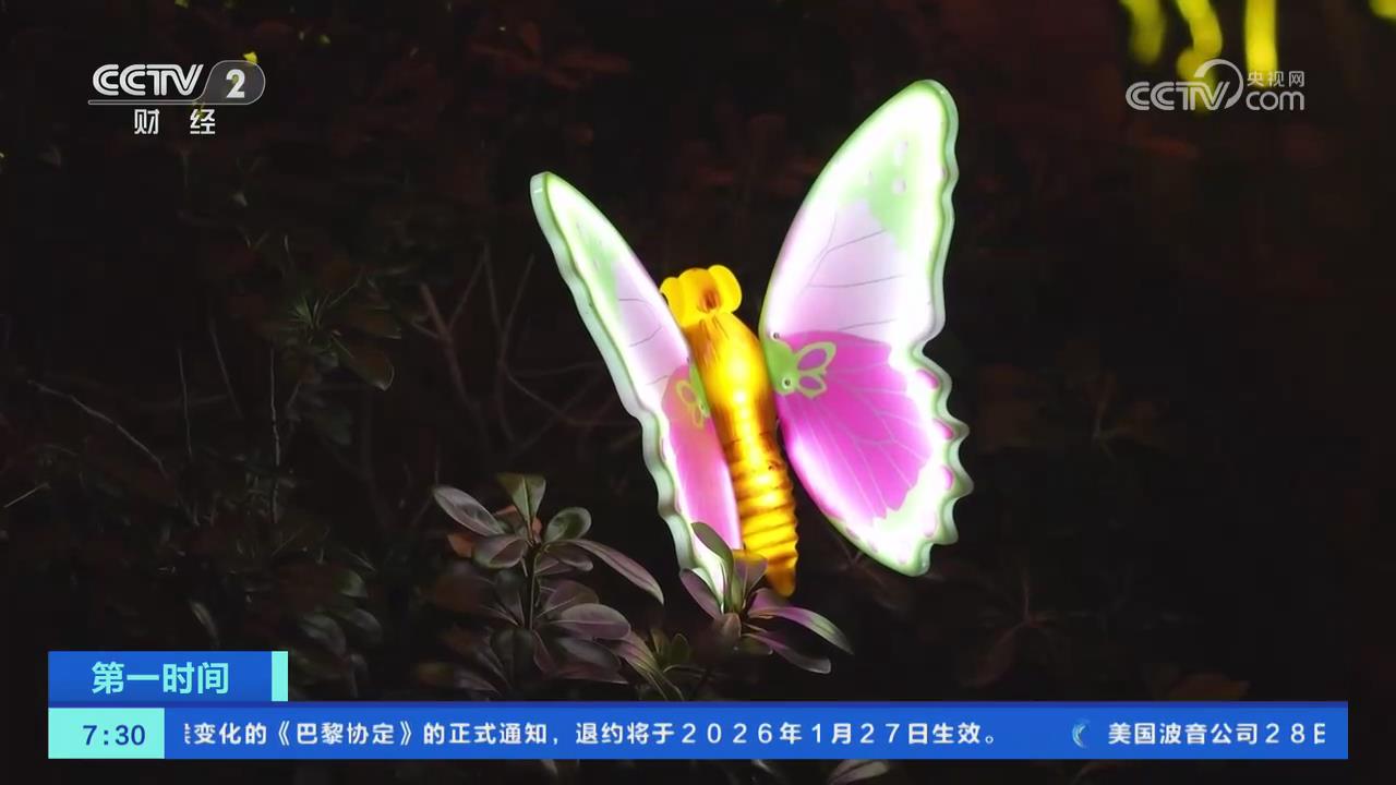 【央視關(guān)注河南焦作】流光溢彩迎新春 華燈璀璨年味濃