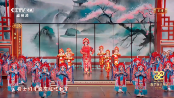 河南藝術職業學院王惠教授亮相央視春晚