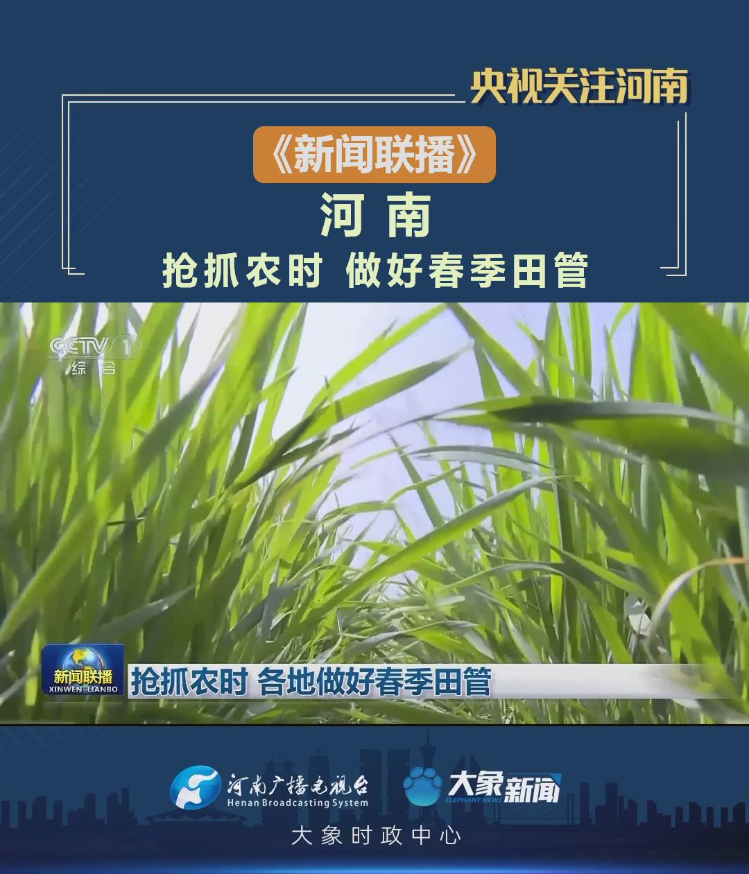 【央視聯播關注河南】搶抓農時 做好春季田管