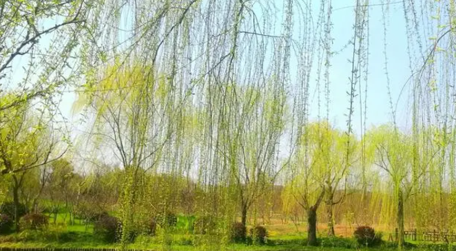 气温回升！最高18℃！暖暖的感觉回来了