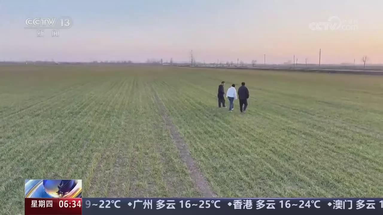 【央视关注河南封丘】开展春管春灌 助力冬小麦返青转壮