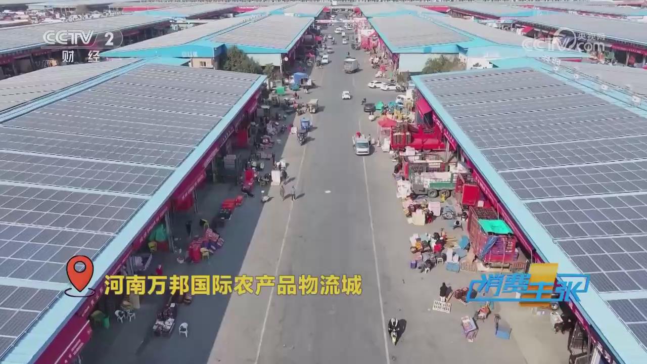 【央視關(guān)注河南鄭州】新春走市場：價格降溫 早春水果熱賣