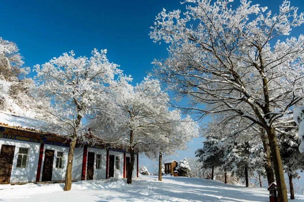 初春的雪，让河南这些景区美翻了！