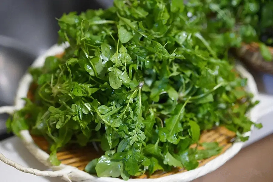 带上铲子！走！郑州周边野挖菜线路“出炉”