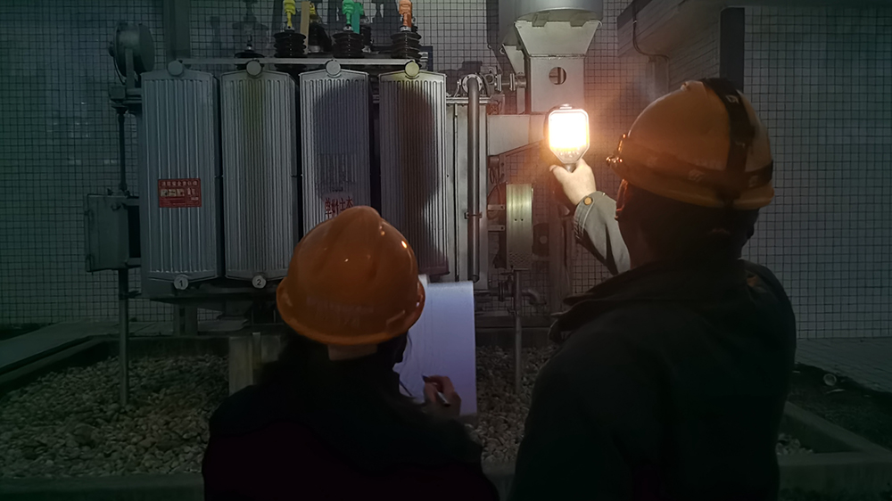 国网平舆县供电公司：圆满完成全国“两会”期间保电任务