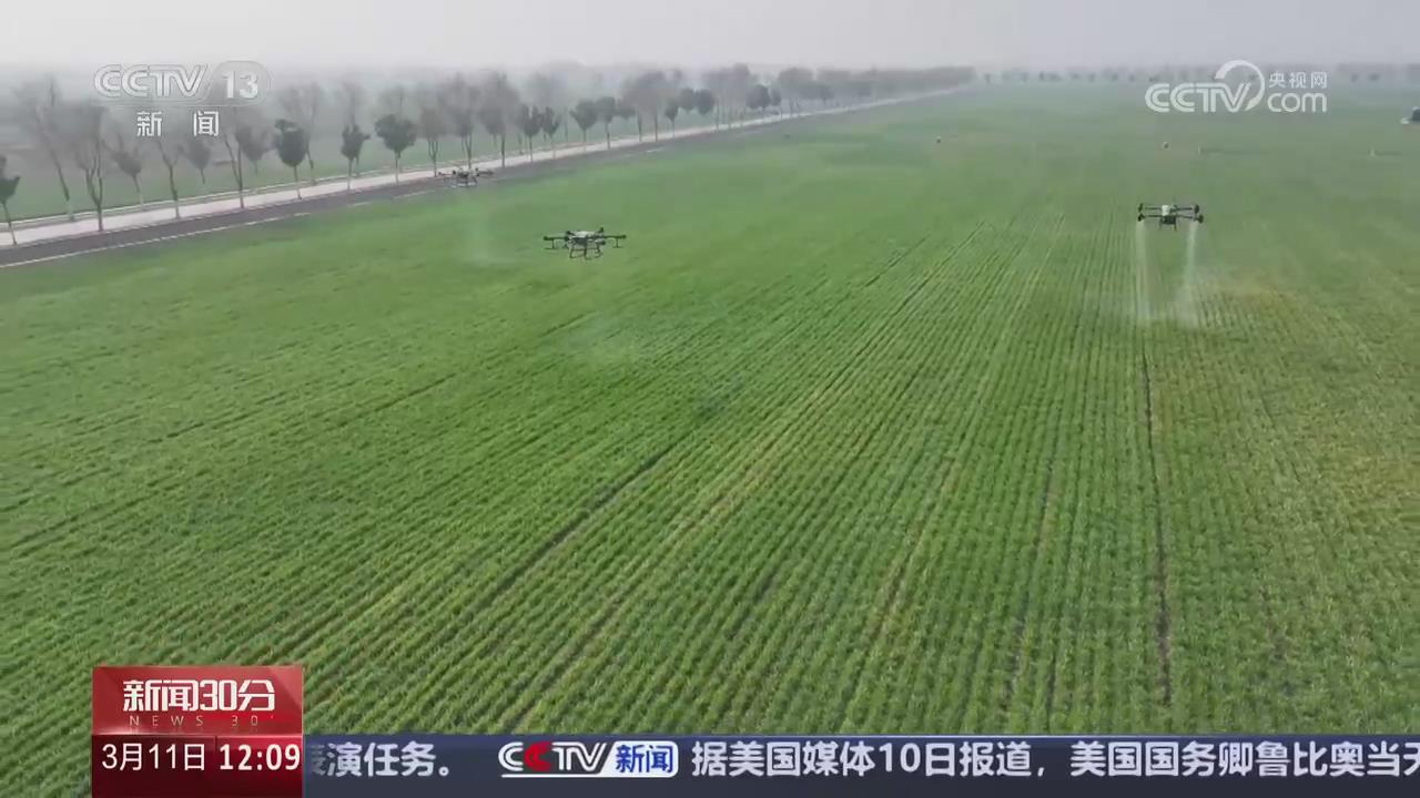 【央視關(guān)注河南商水】小麥返青 科技助力