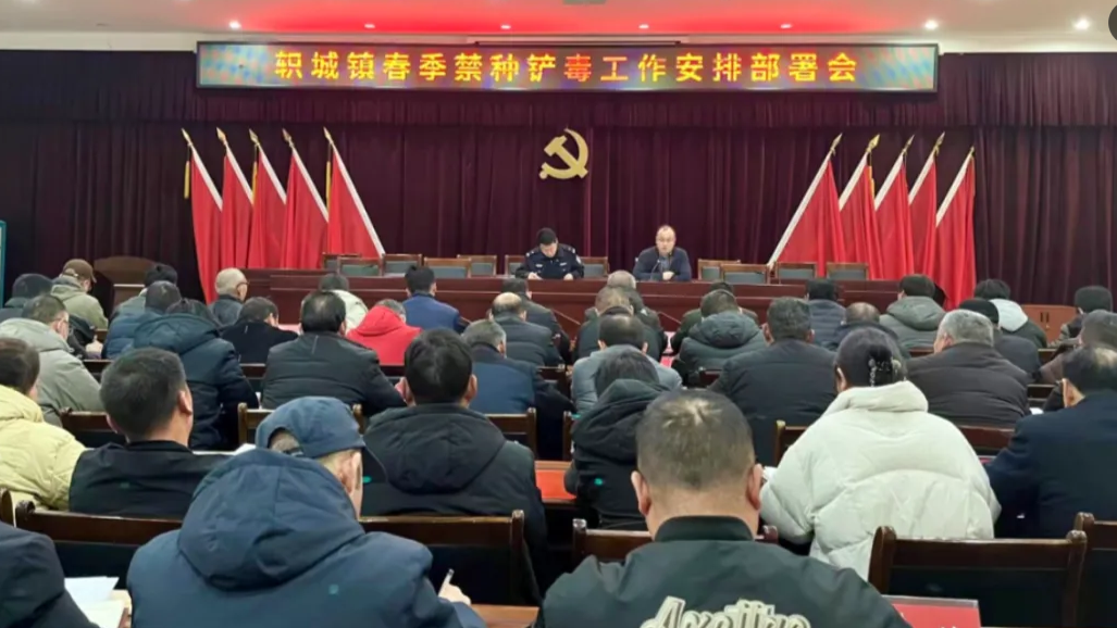 济源：轵城镇扎实开展禁种铲毒工作