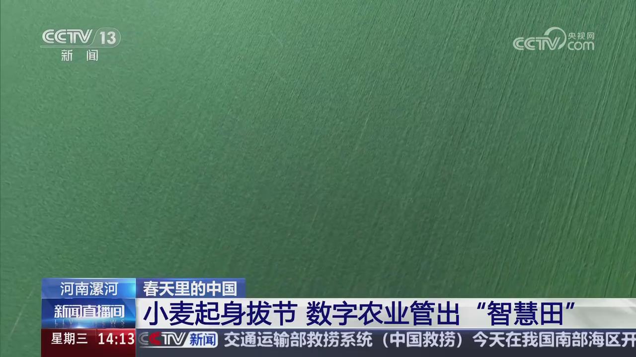 【央視關(guān)注河南漯河】小麥起身拔節(jié) 數(shù)字農(nóng)業(yè)管出“智慧田”