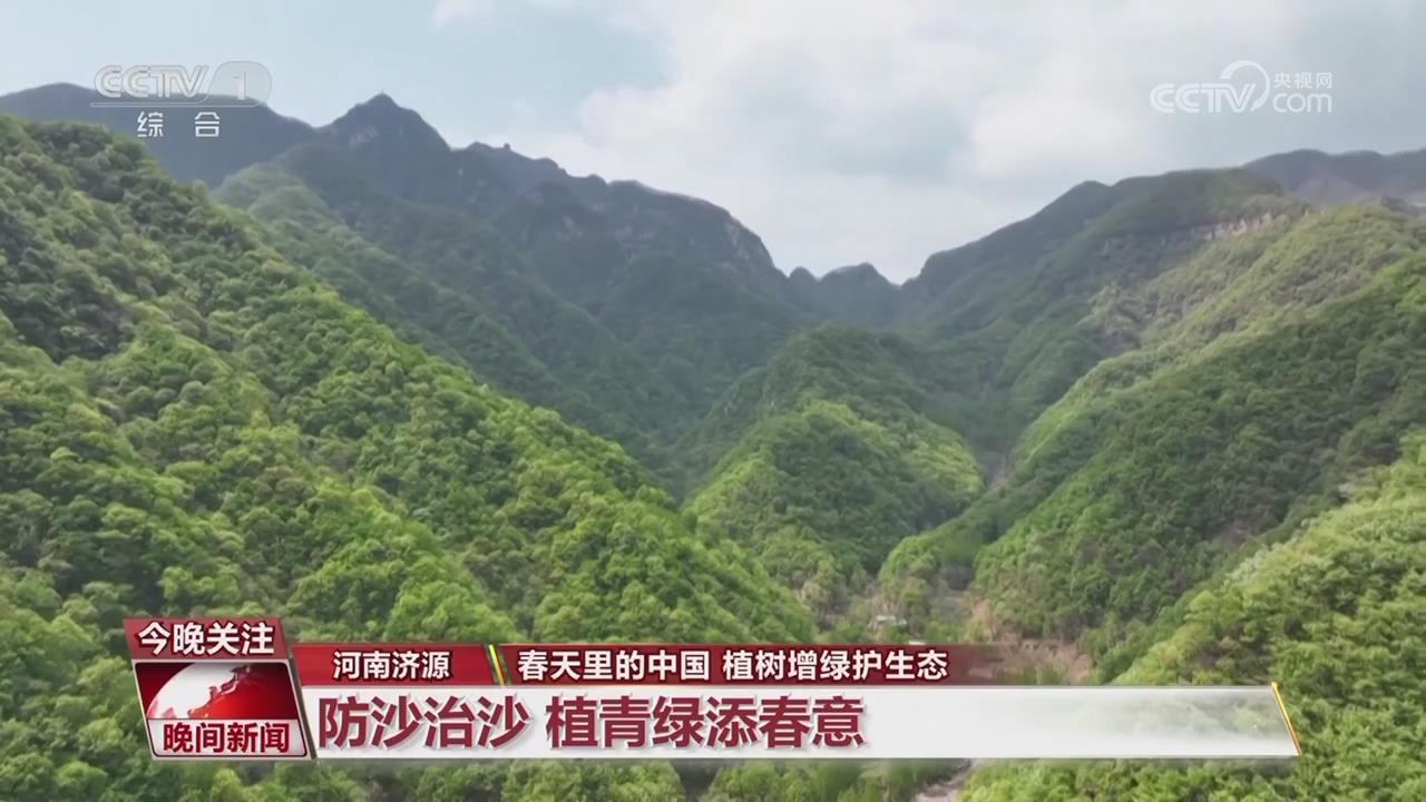 【央視關(guān)注河南濟(jì)源】防沙治沙 植青綠添春意