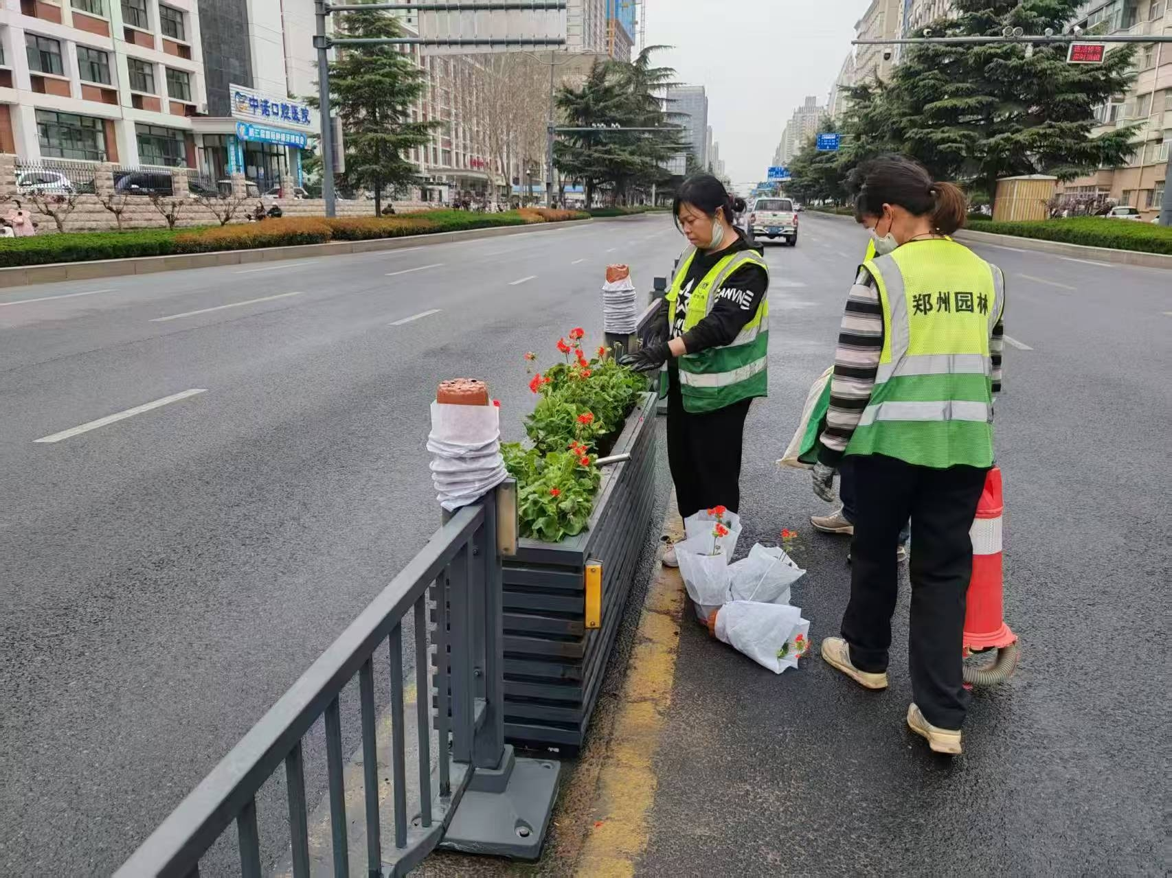 花箱换花颜值亮 精细提升添景彩