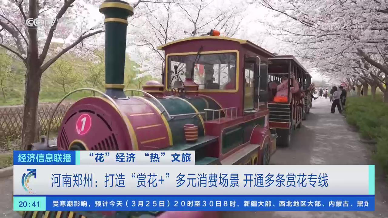 【央視關注河南鄭州】打造“賞花+”多元消費場景 開通多條賞花專線