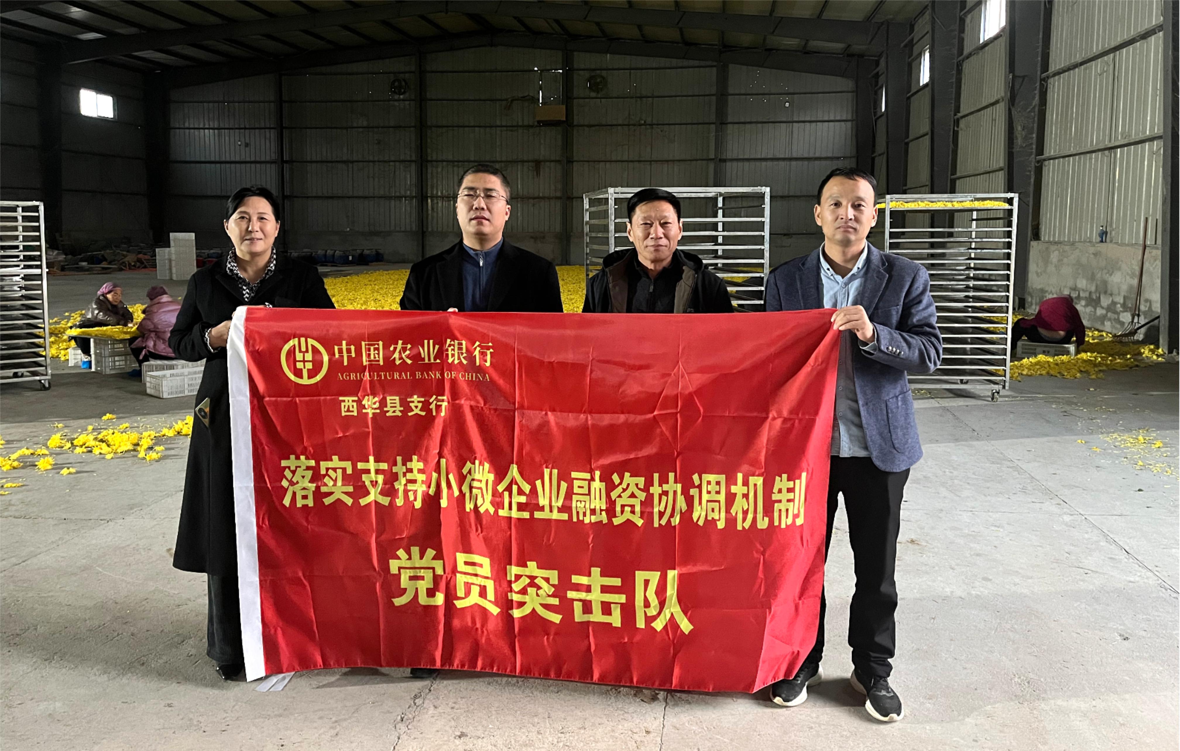 农行周口分行：300万“种苗贷”破解玫瑰产业“成长梗阻”