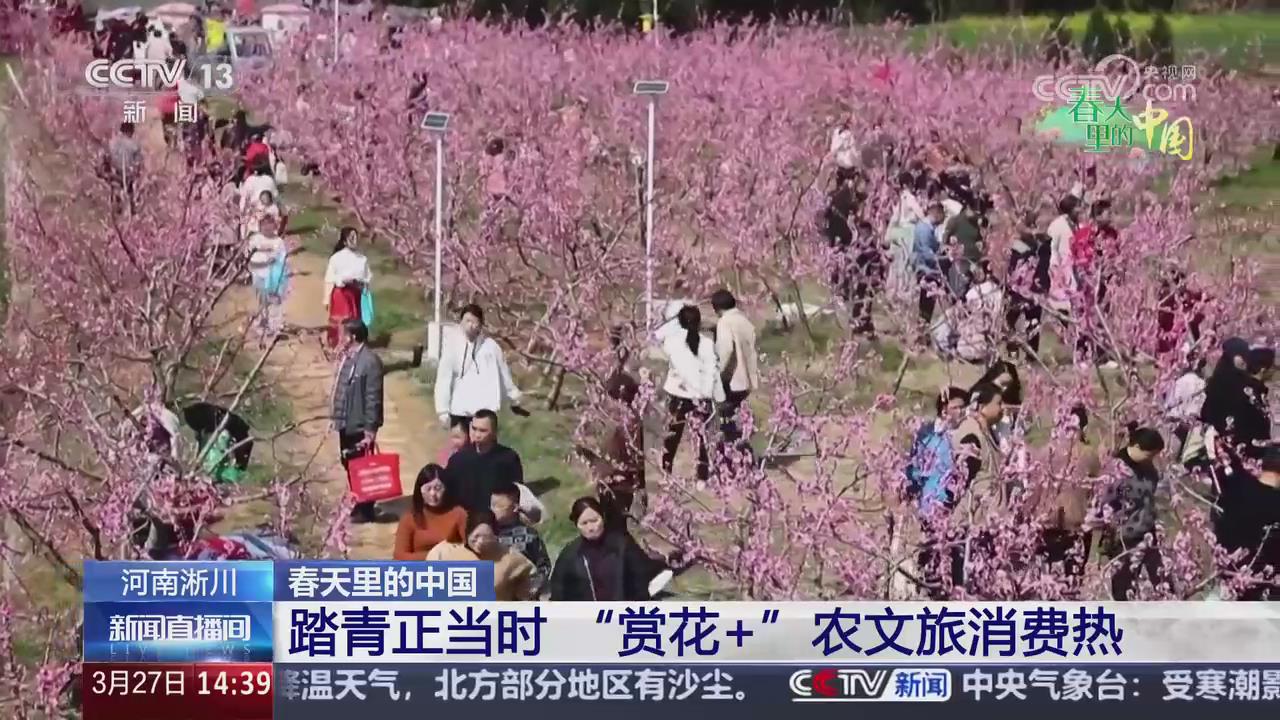 【央視關注河南淅川】踏青正當時 “賞花+”農文旅消費熱