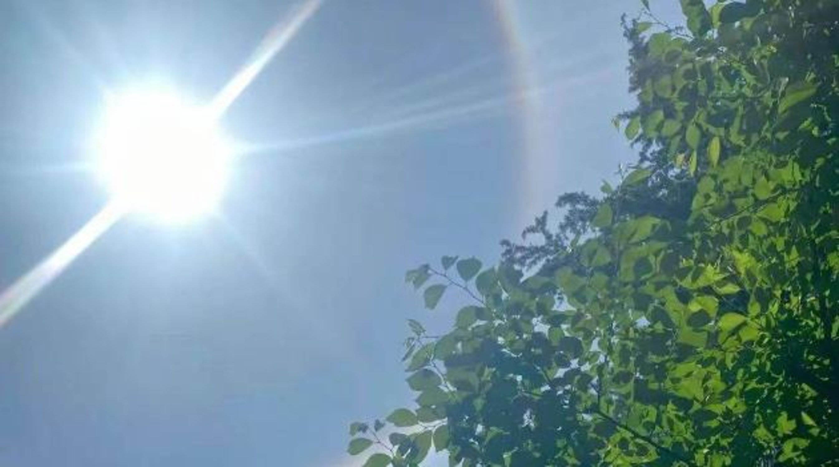 河南重返20℃+！但→多大风，昼夜温差大
