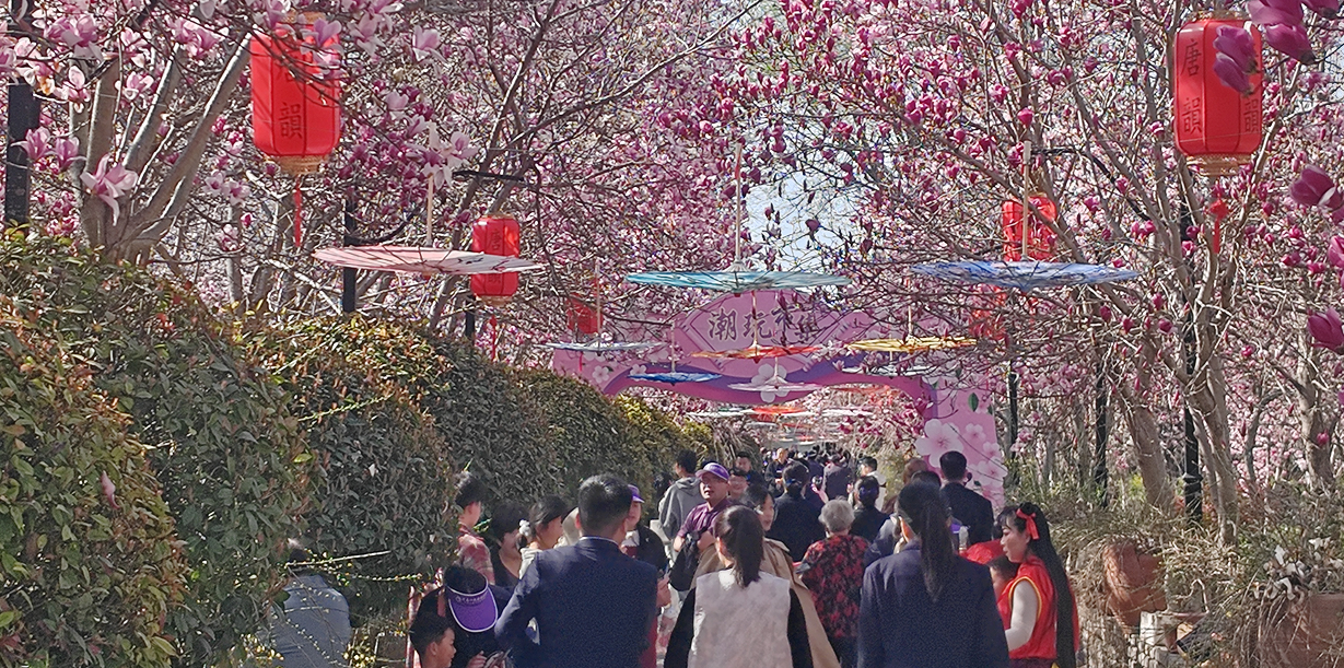 从一“花”独秀到繁“花”似锦——看鄢陵如何弹奏“花”的“金色交响”